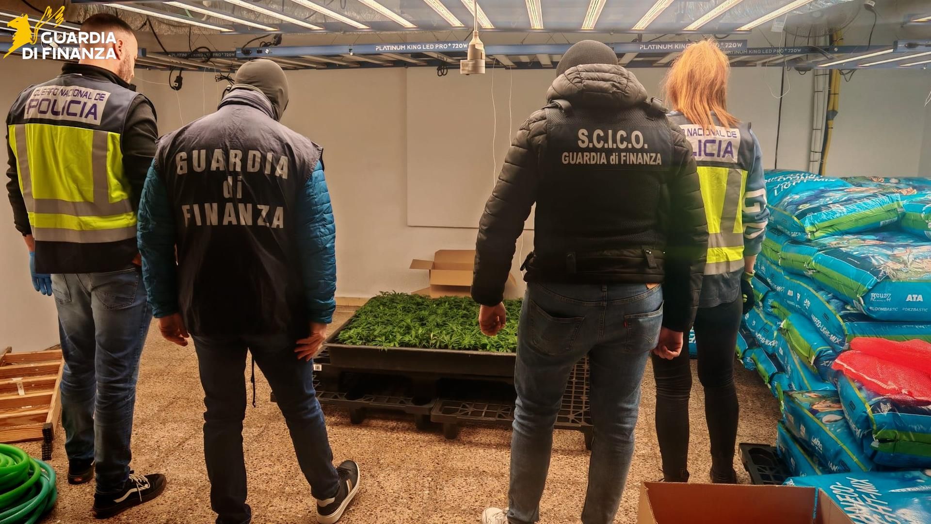 Traffico di droga, 12 arresti tra Italia e Spagna