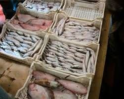 Cetraro, mercato ittico pronto ad aprire i battenti