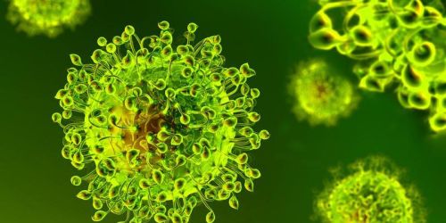 covid-calabria-bollettino