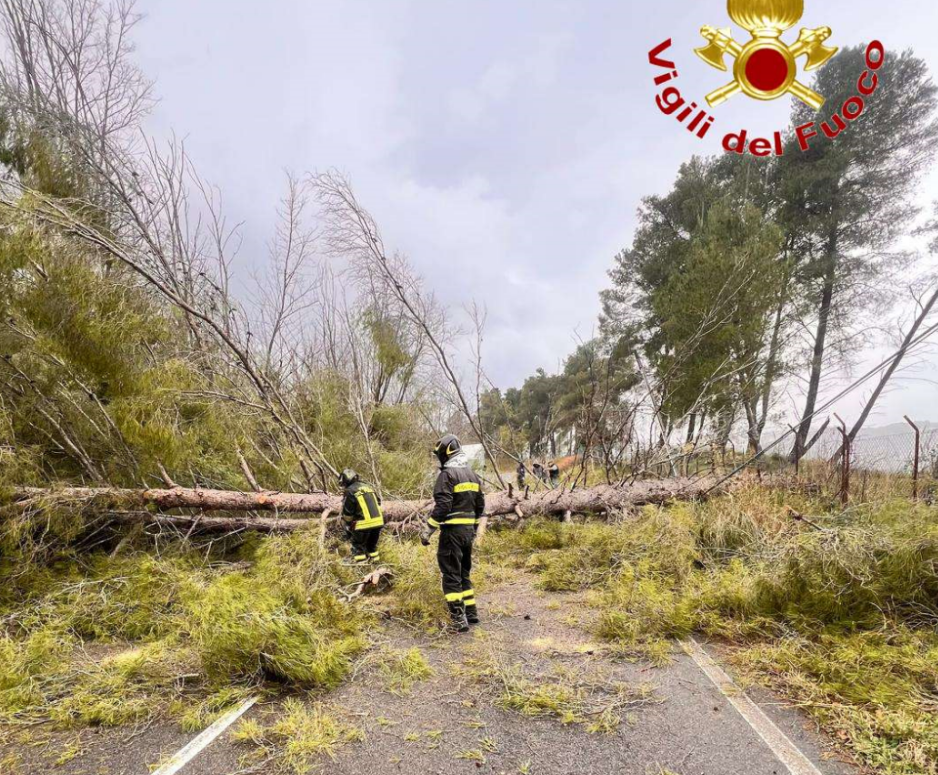 Frane, alberi caduti e strade interrotte: il maltempo si abbatte sulla Calabria – FOTO