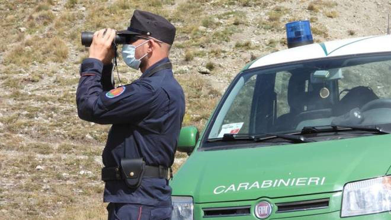 Operazione antibracconaggio nel Reggino, in azione 50 militari dell’Arma