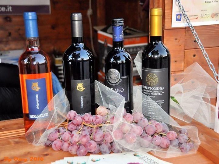 Donnici, successo per la Sagra dell'uva