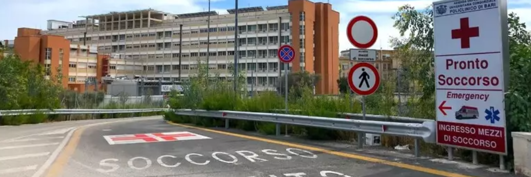 Muore a 23 anni dopo essere stato morso da un ragno violino