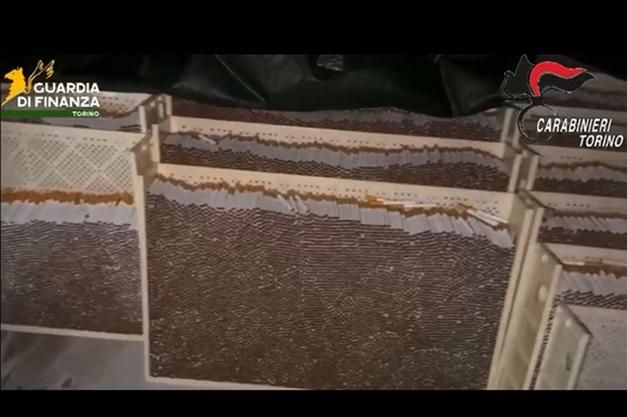 Sequestrate 250 tonnellate di tabacchi di contrabbando a Torino
