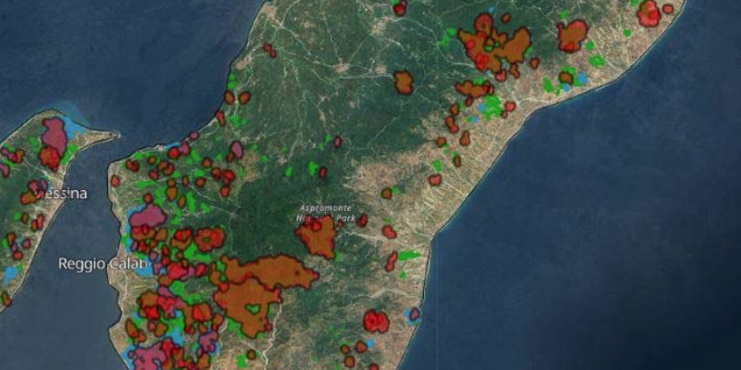 Legambiente: «Incendi e pascolo abusivo a Reggio Calabria erodono paesaggio e biodiversità»