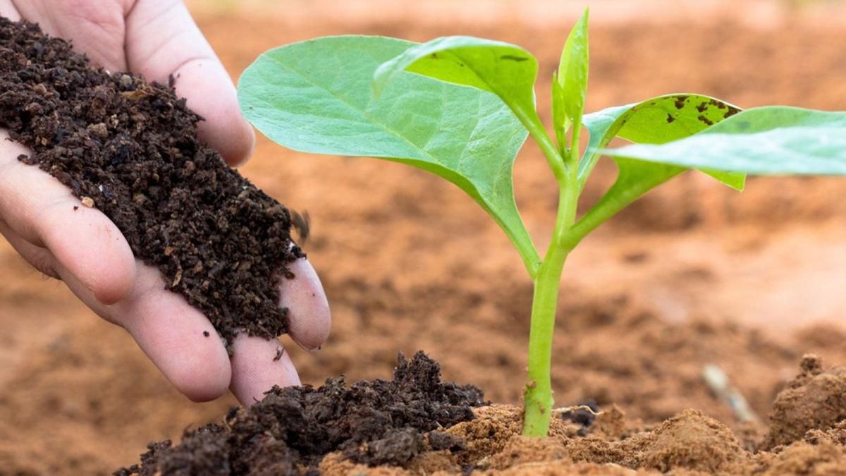 «Bene il provvedimento a favore di impianti di compostaggio»