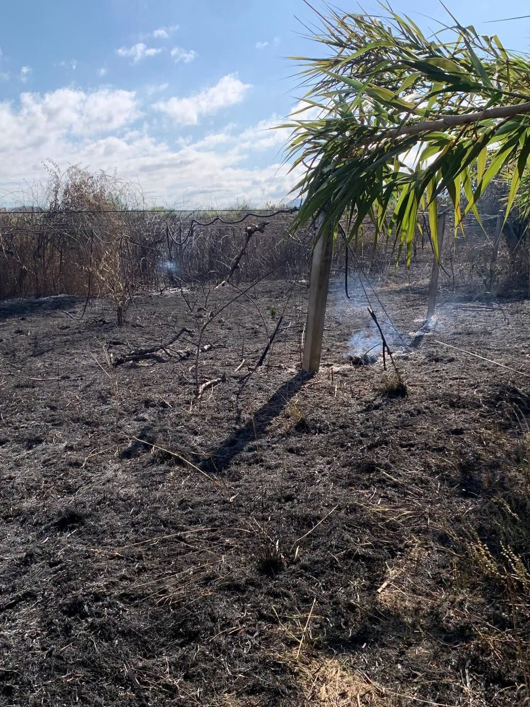 Incendio all’azienda Rodi Morabito, lo Spi Cgil: «Un vile atto intimidatorio contro lavoro e legalità»