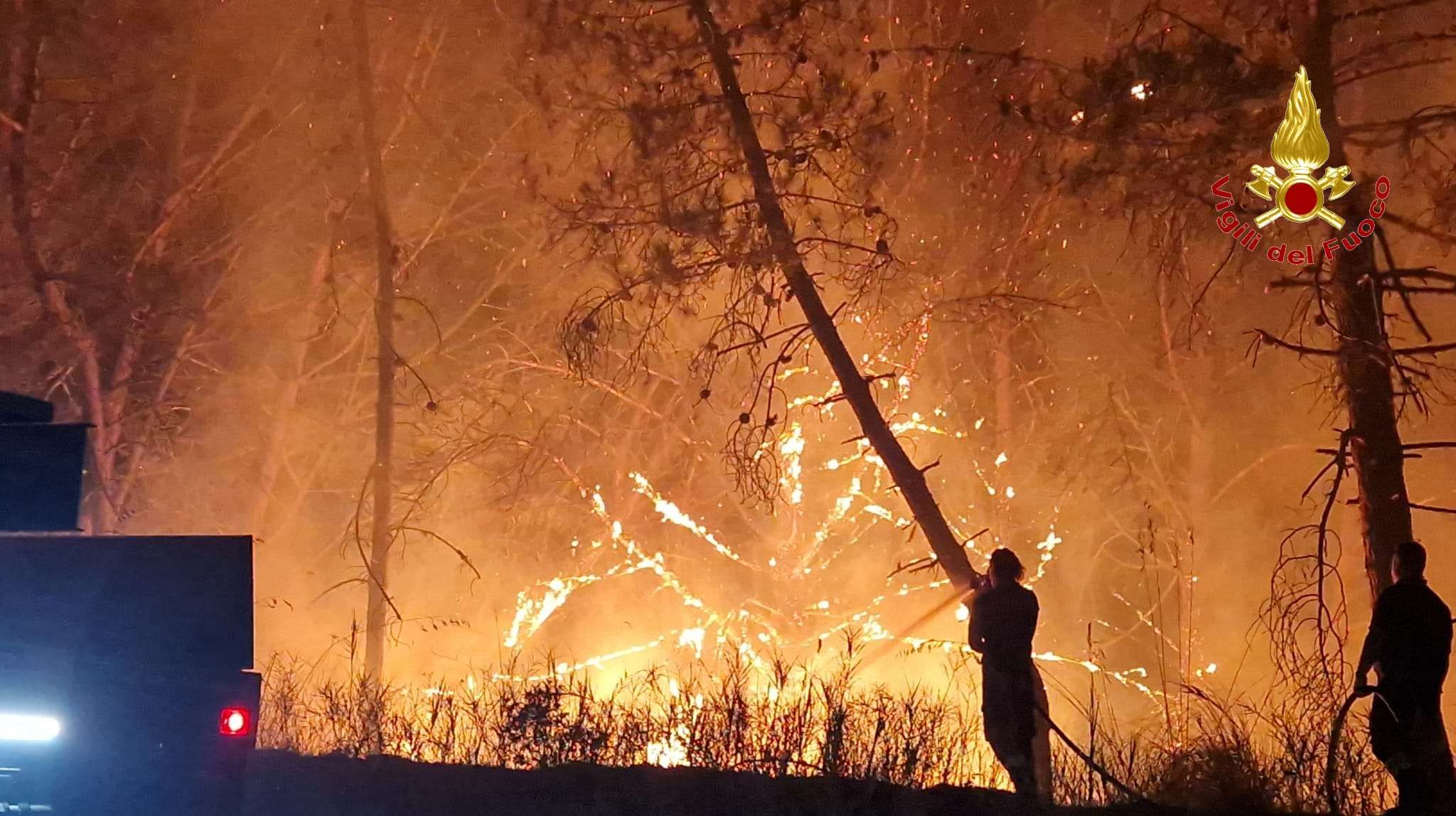 Emergenza incendi nel Vibonese: oltre 30 interventi e più di 100 ettari in fiamme