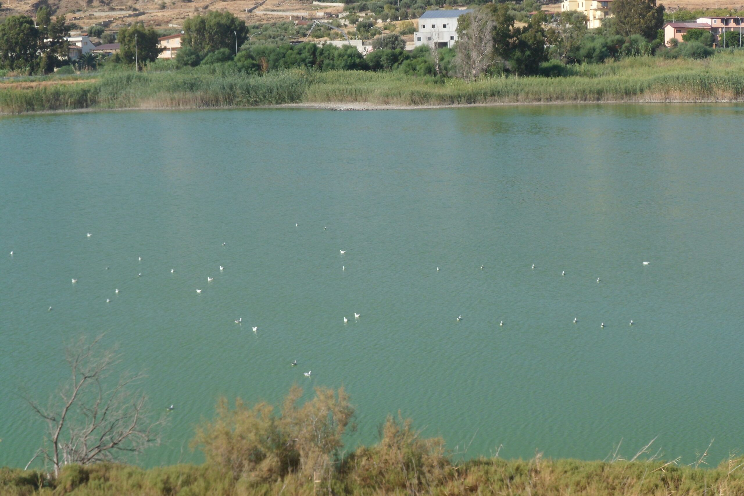 Un incendio minaccia l’area naturalistica dei laghetti di Saline Joniche: vigili del fuoco in azione