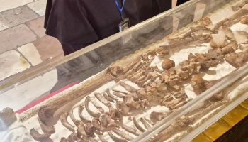 Al via l’ostensione delle spoglie di San Francesco d’Assisi – VIDEO