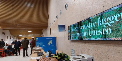 Pollino-faggete-Catasta-2