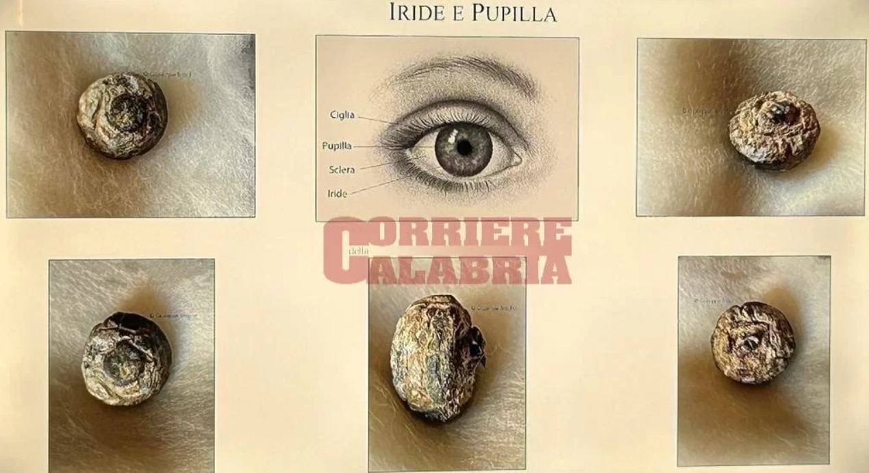 «Improprio attribuire i reperti rinvenuti l’1 agosto al contesto dei Bronzi di Riace»