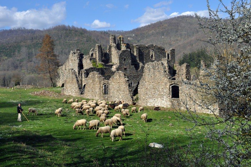 «Lunga vita, nuova vita a Corazzo»