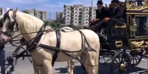 Carrozze, cavalli bianchi e “Il Camorrista” in sottofondo. Per la Dda «i funerali qualificano il clan dei rom»