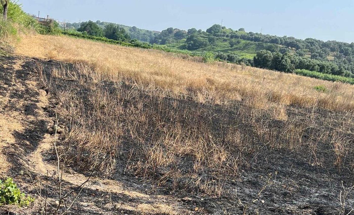 Gioia Tauro, incendiato terreno confiscato e gestito da cooperativa sociale
