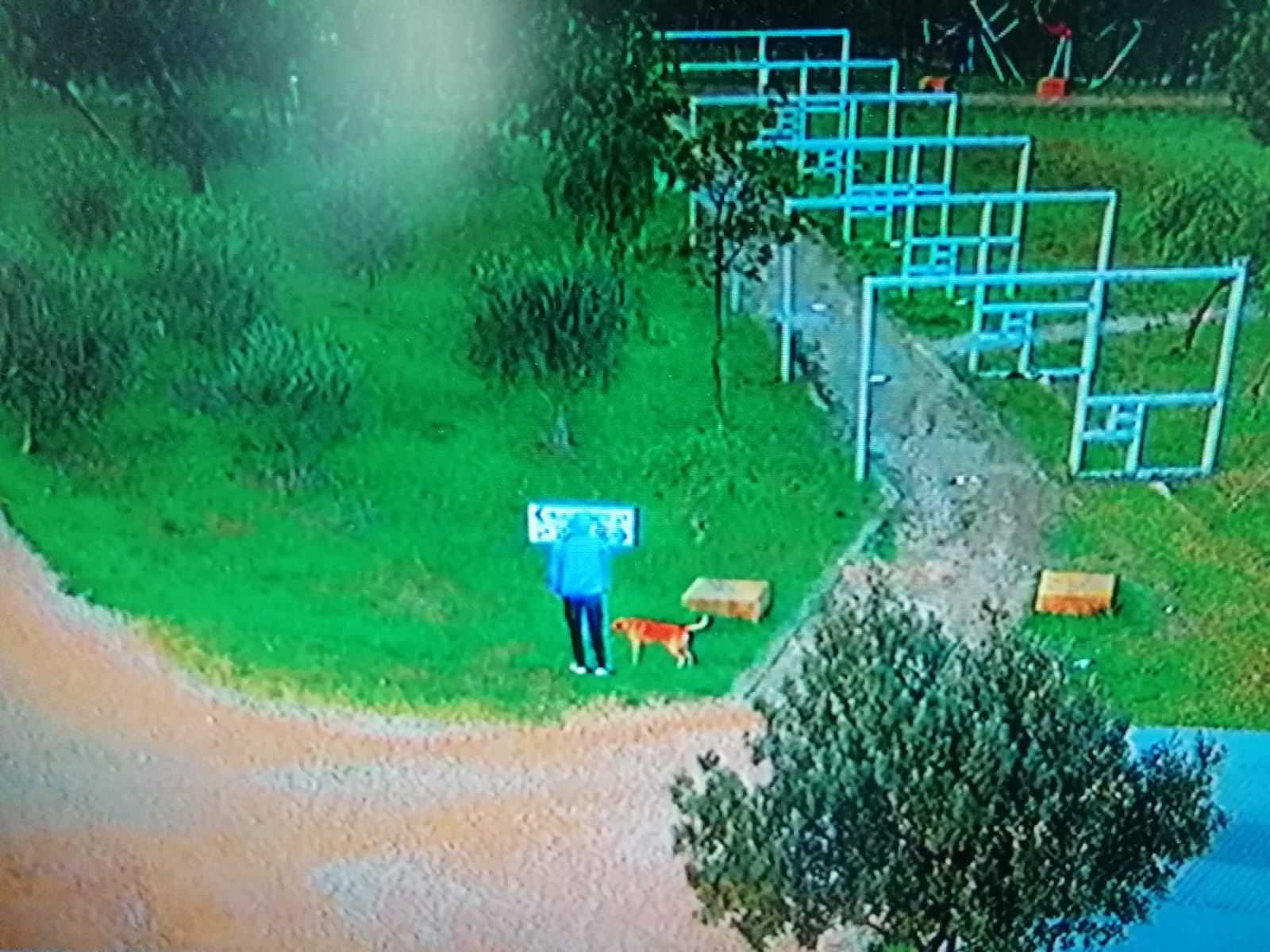 Crotone, vandali in azione a Parco Pitagora