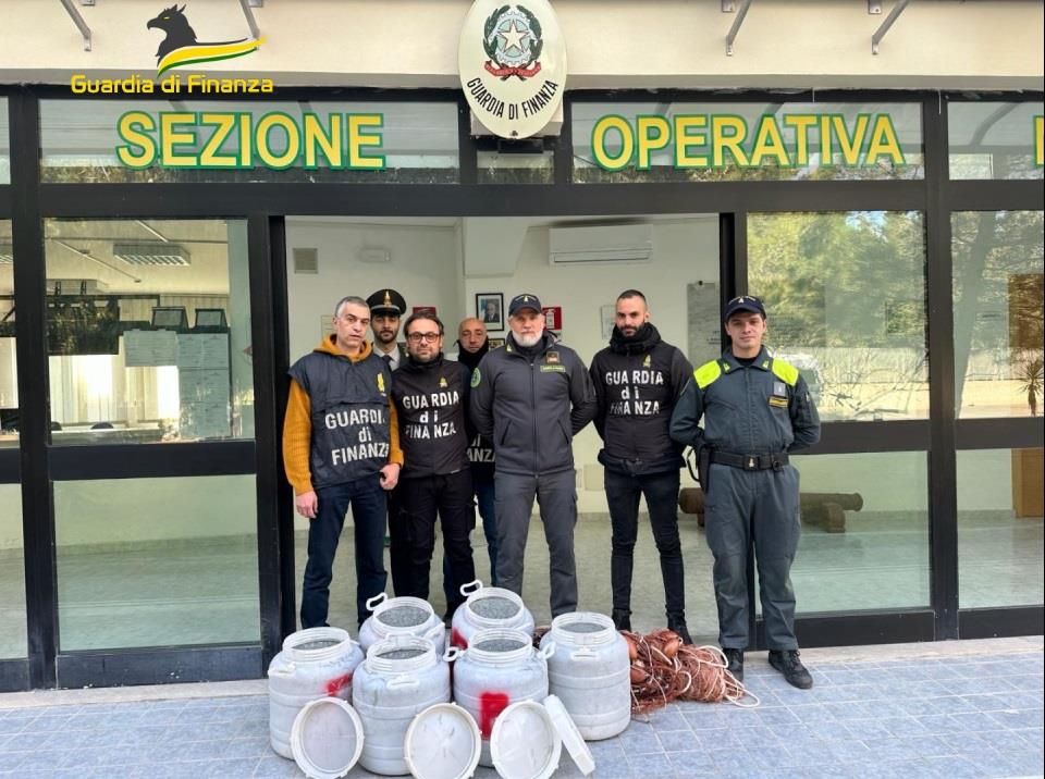 Riace Marina, sotto sequestro oltre mezza tonnellata di novellame