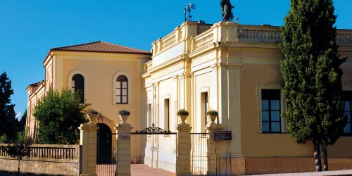 camera commercio vibo valentia