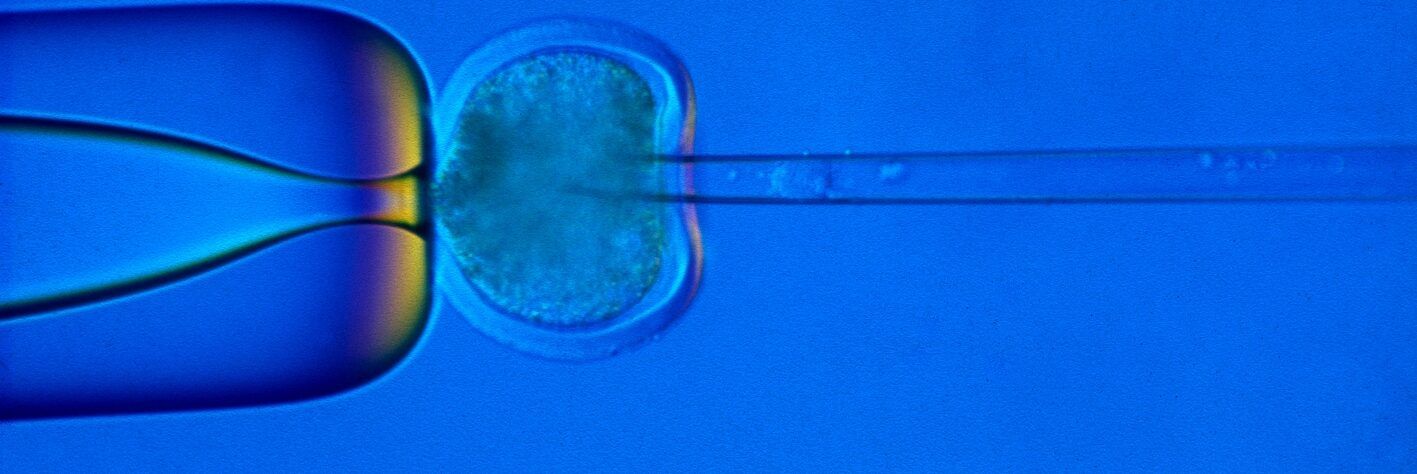 Lotta alle malattie genetiche, creati embrioni umani