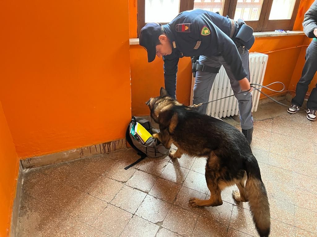 Cosenza, unità cinofile all’opera negli istituti scolastici