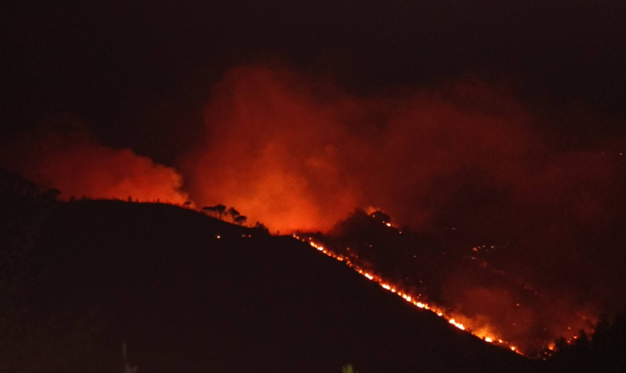 Incendi, l’Alto Tirreno cosentino brucia: fiamme verso Aieta e Santa Domenica Talao