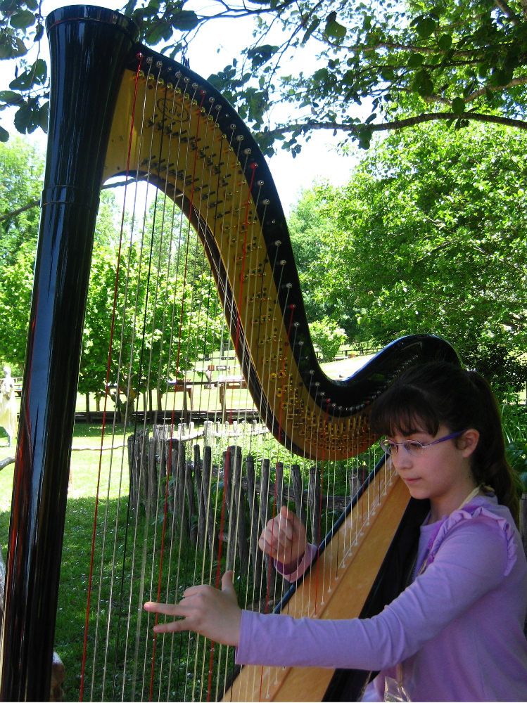 Due primi premi per l`arpista Giulia Moraca