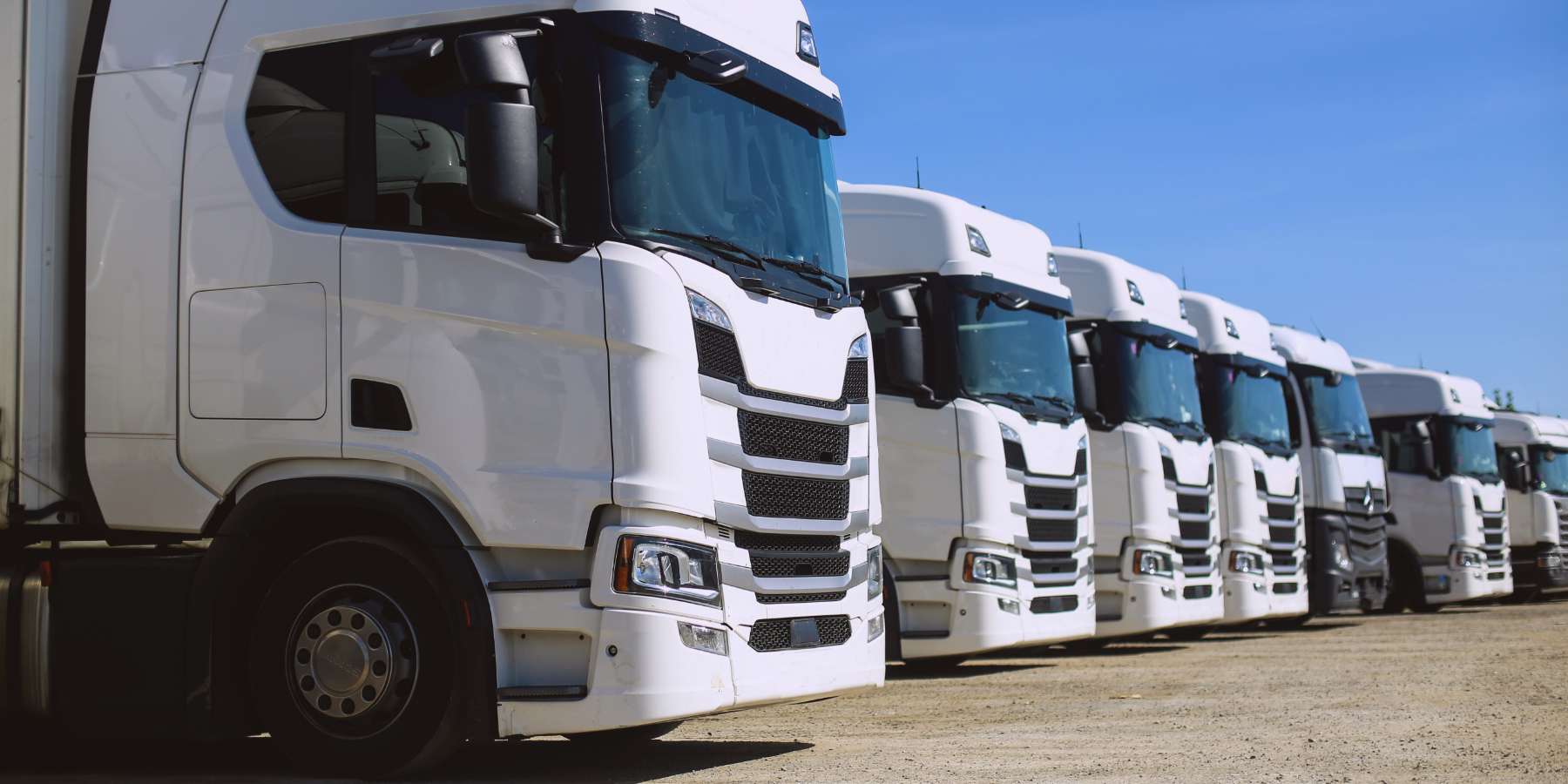 ‘Ndrangheta, la «malavita del signor Serra»: dagli autotrasporti agli affari con i Pesce-Bellocco