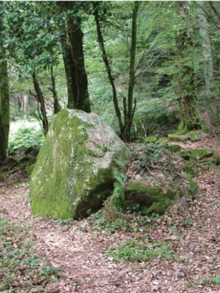 Dalla Regione un milione di euro al Parco nazionale dell`Aspromonte