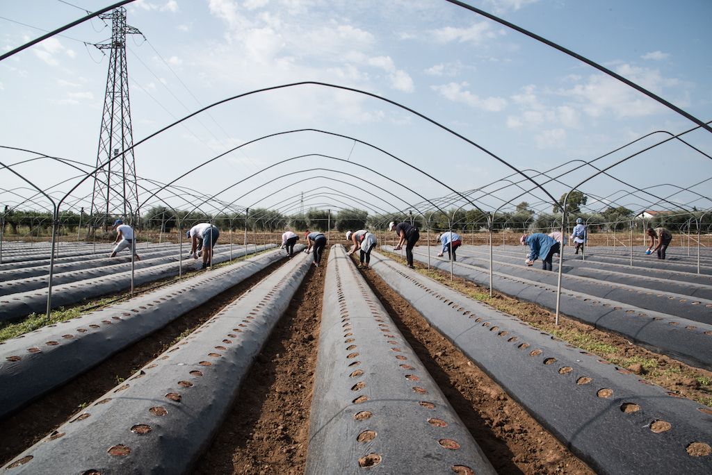Violenze, diritti negati, paghe da fame. In Calabria l’inferno delle schiave nei campi