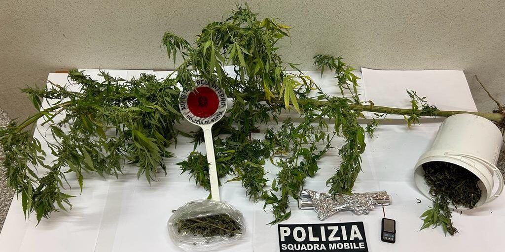 Marijuana in casa e una pianta di canapa indiana in giardino, 44enne arrestato a Vibo