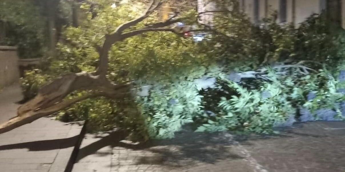 Violente raffiche di vento in Calabria, nelle ultime 55 ore 245 interventi dei Vigili del fuoco