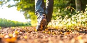 Il primo cammino dell’accoglienza: nasce l’asse della solidarietà tra Piemonte e Calabria