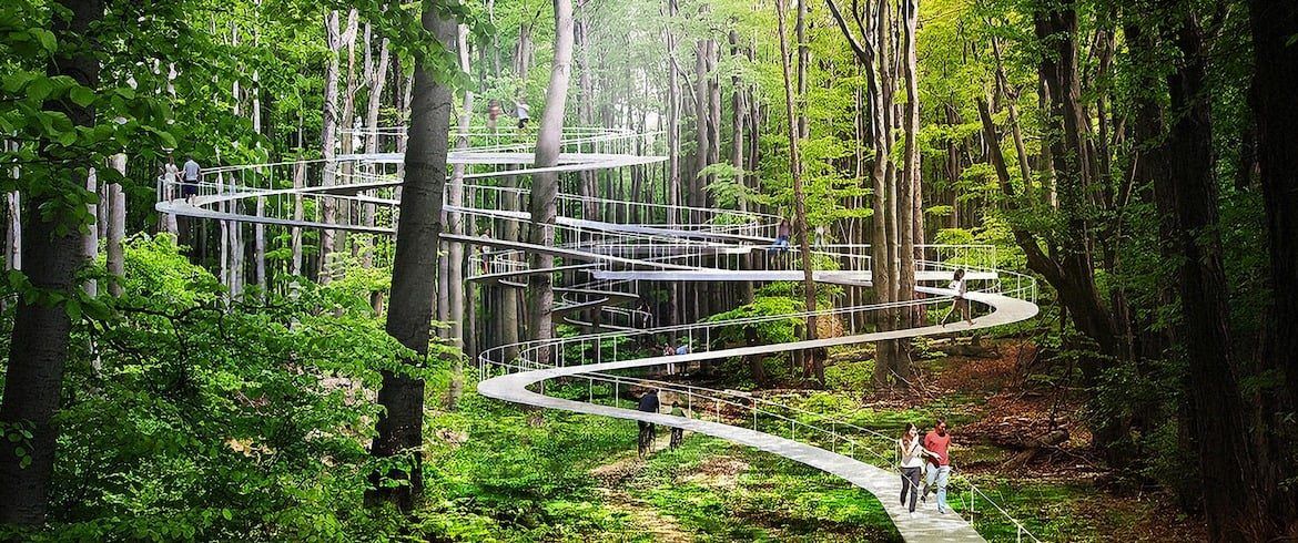 Ecco il “sentiero fra le fronde” nel bosco millenario del Pathirion con vista mozzafiato sul golfo di Taranto