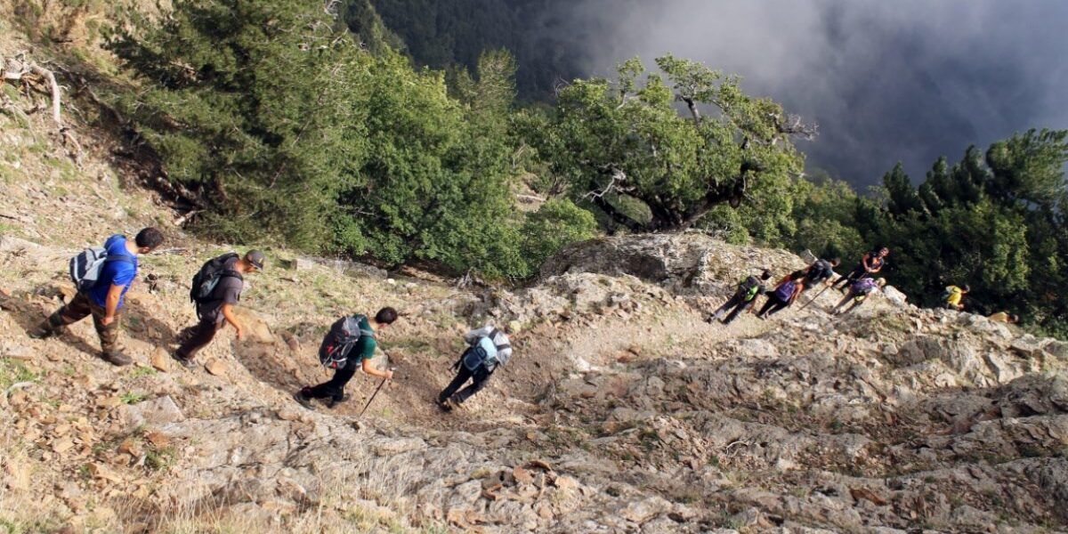 Dall’Aspromonte alle Serre, nasce il Sentiero del Brigante