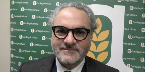 alberto statti - confagricoltura calabria