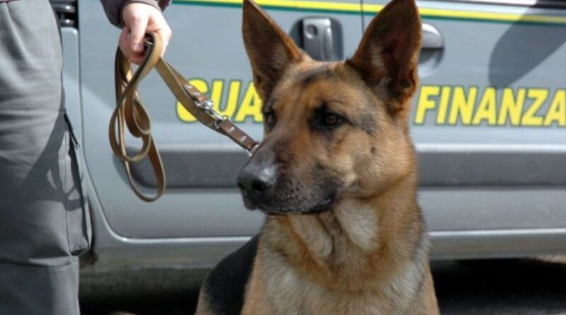 Arrestato a Messina corriere della droga. Veniva dalla Calabria con 6 figli al seguito