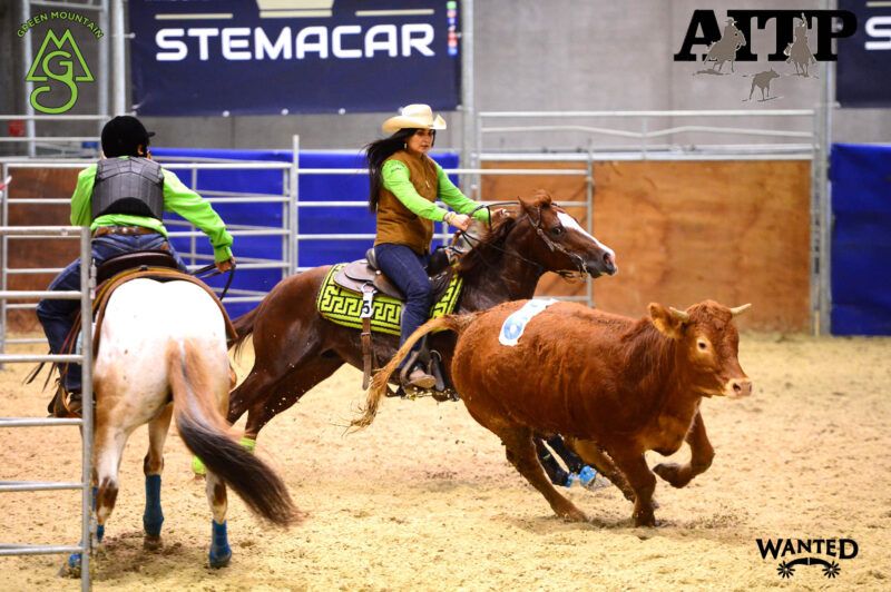 Calabria, “Campioni Italiani” nella monta americana a Fieracavalli di Verona