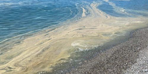 mare sporco guardia piemontese