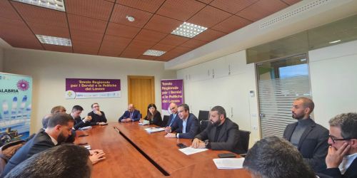 cretella calabrese occhiuto TIS