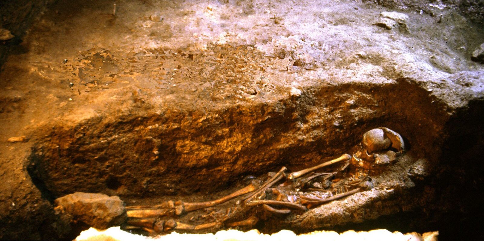 I disabili preistorici e postmoderni