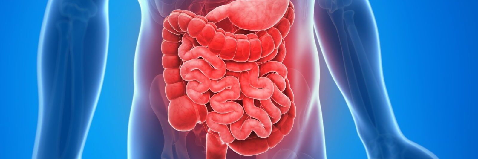 Sanità, malattia di Crohn: scoperta la principale causa genetica
