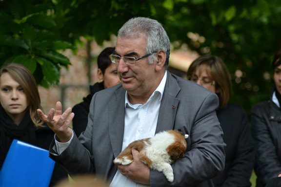 Casali del Manco, il consigliere M5S accusato di «complicità» con il Pd