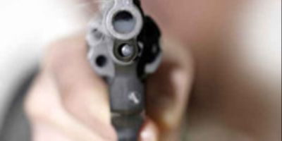Mitra per saldare i debiti e pistole al bambino di 6 anni: l’arsenale del clan Alvaro tra i boschi dell’Aspromonte