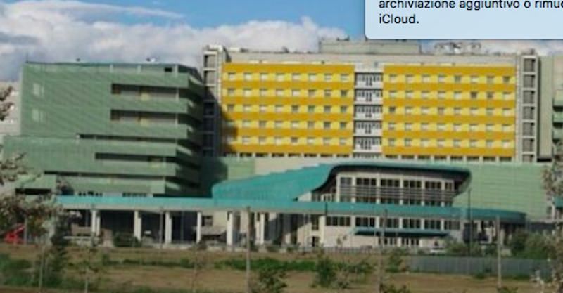 Catanzaro, i precari dell'università si appellano al nuovo rettore