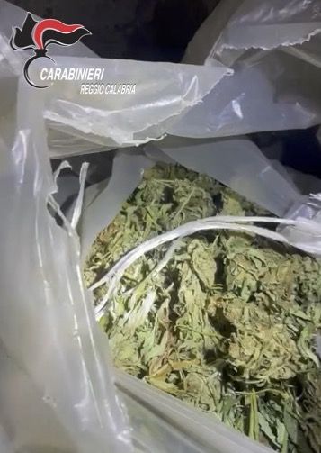 Cardeto, rinvenuti 15 chili di marijuana nascosti in un casolare