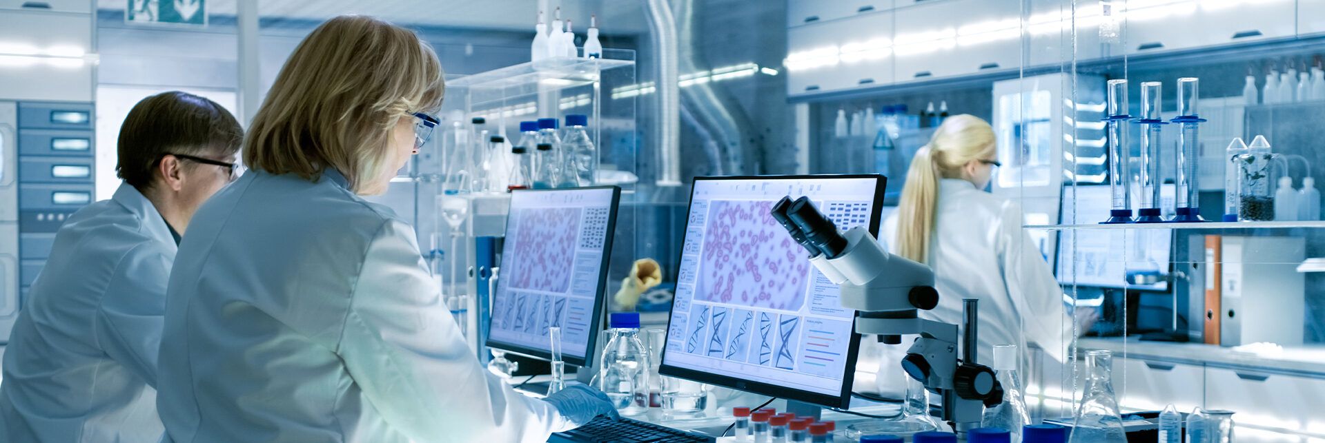 Lotta ai tumori, nuove speranze dai linfociti killer NKT