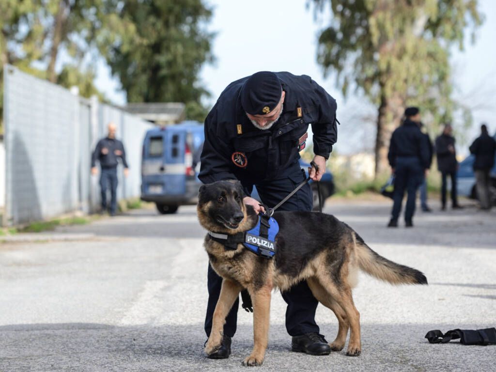 Dosi di droga in una scuola a Cosenza, denunciati due minori