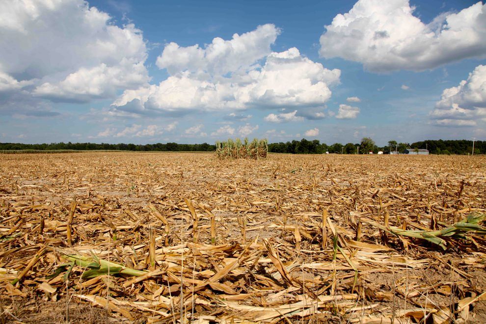 Sibaritide, le imprese aspettano ancora i fondi per la siccità del 2012