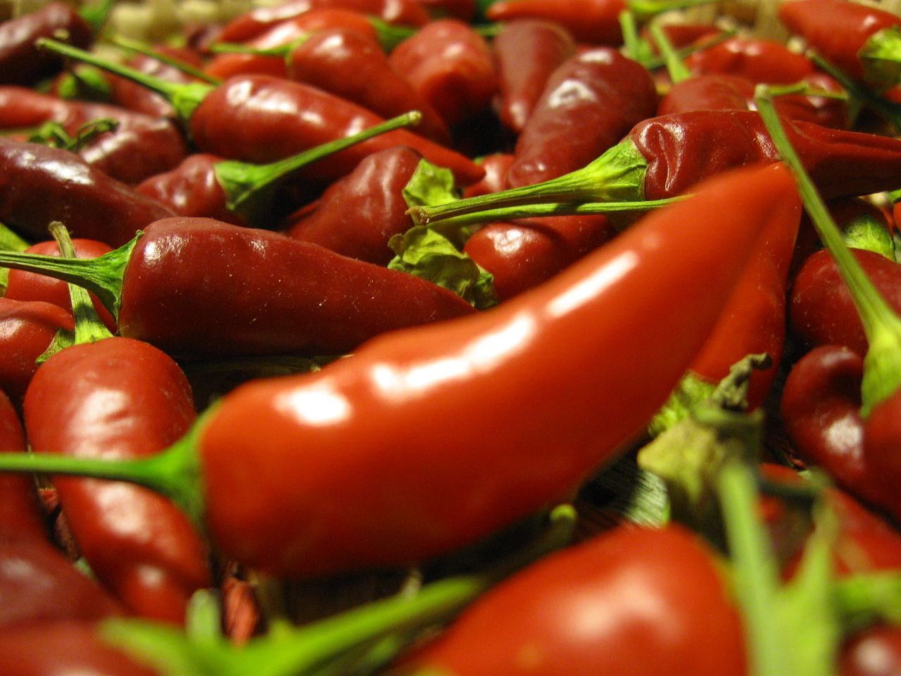 Le "sfide" del peperoncino nel convegno di Diamante