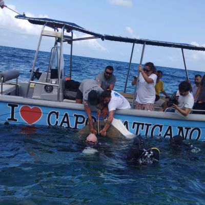 Nel Vibonese recuperati circa 250 pneumatici esausti: alcuni minacciavano la posidonia oceanica in mare